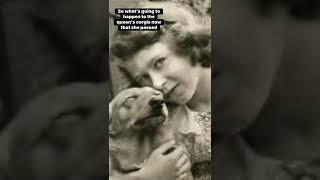 What Will Happen To Queen Elizabeths Dogs Corgis? #shorts