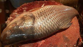 Amazing Live Rohui Fish Cutting Skills in The Fish Market  Fastest Rohui Fish Cutting