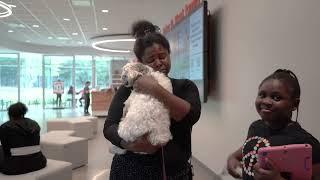 Pets In Crisis Support Program - Cocos Reunion Moments