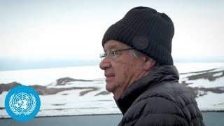 Antarcticas Climate Emergency UN Chiefs Urgent Message on Melting Ice  United Nations