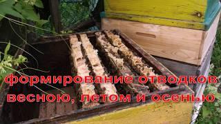 формирование отводков пчел -  весной летом и осенью - часть 1  начало 