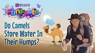 Whats Inside A Camels Hump?  BYJUS Fun Facts