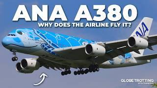 A380 IN JAPAN - Why ANA Flies The Airbus A380