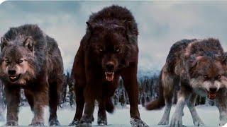 Born Among Wolves  Action Movie Full Length English    Full Action Movies HD