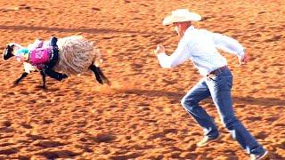 Mutton Bustin - 2019 Saints Roost Ranch Rodeo Saturday