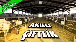 AKILLI ÇİFTLİK MAHMUDİYE EŞREF ŞEKERLİ  MÜŞTERİ MEMNUNİYETİ