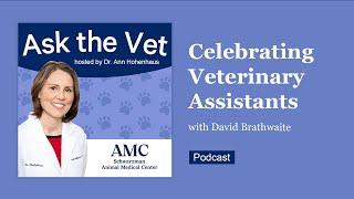 Ask the Vet Celebrating Veterinary Assistants
