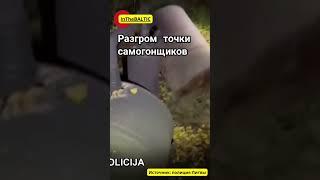 Разгром точки самогонщиков