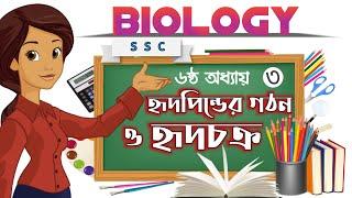 SSC Biology Chapter-6  হৃদপিন্ডের গঠন ও হৃদচক্র  Human heart and cardiac cycle Part-3  Abonee