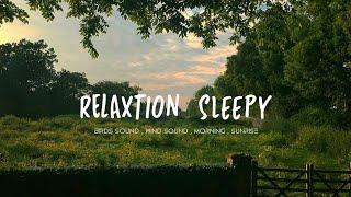 Real record Relaxing Music And video of wind and birds  sleeping music  relaxtion sounds   filed