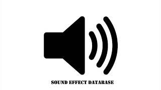 Cartoon Ta Da Sound Effect