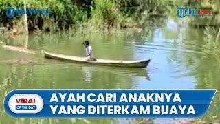 Video Perjuangan Ayah saat Cari Anaknya yang Hilang Diterkam Buaya Warga Tak Berani Masuk Sungai