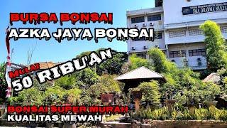 INTIP BONSAI BONSAI MURAHKUALITAS MEWAH  MILIK MAS IWAN SURABAYA  AZKA JAYA BONSAI