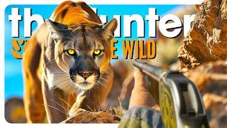 I hunted EVERY CAT in the game  theHunter Call of the Wild