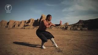 Shaolin 5 Fundamental Stances