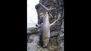 Huge Yellowfin Tuna on a popper LandbasedWorld Record denied by huge Shark. {Biggest ever Landed}