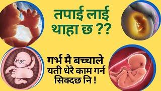 Fetus activities  Garbha ma bachha le ke ke garna sakcha  ? Fetal Development  Pregnancy