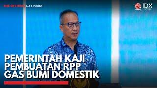 Pemerintah Kaji Pembuatan RPP Gas Bumi Domestik  IDX CHANNEL