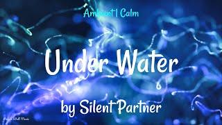 Under Water • Silent Partner • Ambient  Calm Music 1 Hour Version