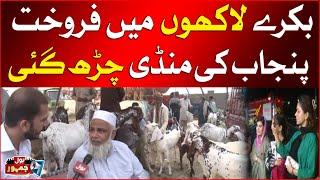 Lahore Cow Mandi Updates  Goats Selling In Millions  Price Hike  BOL Jahmoor  Breaking News