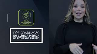 Pós-graduação em Clínica Médica de Pequenos Animais