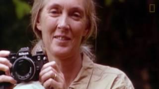 Jane Goodall - Cómo cambiar nuestro futuro retrospectiva