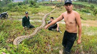 Team Of Hunters Rescues A Young Man Attacked By A Giant Snake  Python