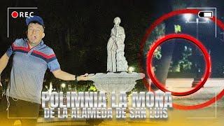 POLIMNIA LA MONA DE LA ALAMEDA DE SAN LUIS DELA PAZ GUANAJUATO