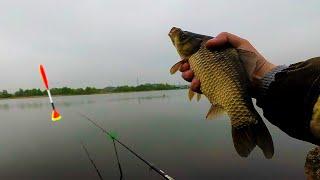 FLOAT FISHING. РЫБАЛКА НА ПОПЛАВОК. ПОКЛЁВКИ КРУПНЫМ ПЛАНОМ