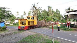 Kereta lori tebu di Semboro Jember Jawa Timur