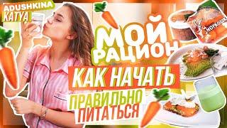 ЧТО Я ЕМ ЗА ДЕНЬ?КАК правильно питаться???