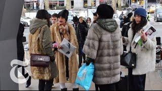 New York Fashion Week 2015  Bill Cunningham  The New York Times