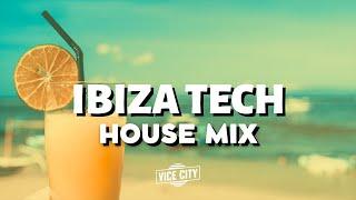 Ibiza Tech House Mix  2023 January