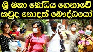 බෞද්ධයෝ කියන්නත් ලැජ්ජයි sri maha bodiya sri lanka