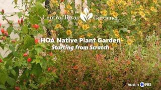 Native Plant Garden from Scratch in HOA Kathleen Scott   Central Texas Gardener