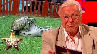 Sir David Attenborough’s Hilarious Voice Over For A Tortoise Trying To Mate With A Shoe