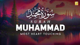 BEST SURAH MUHAMMAD سورة محمد  THIS WILL TOUCH YOUR HEART إن شاء الله  Zikrullah TV