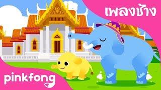 Chang Chang Chang  Animal Songs  เพลงช้าง  เพลงอนุบาลภาษาไทย  เพลง Pinkfong สำหรับเด็ก