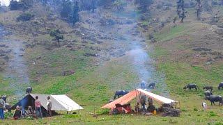 Organic Nepali Mountain Village Life in Nepal  Most Peaceful & Relaxing Village Life in the Rain