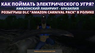 Fishing Planet  ЛОВЛЯ ЭЛЕКТРИЧЕСКОГО УГРЯ НА АМАЗОНСКОМ ЛАБИРИНТЕ РОЗЫГРЫШ НОВОГО DLC AMAZON PACK