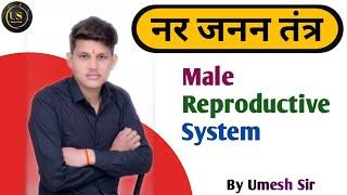 नर जनन तंत्र  Male Reproductive System  nar janan tantra  male reproductive system class 10 th