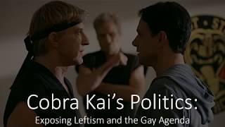 Cobra Kais Politics Exposing Leftism and the Gay Agenda