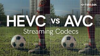 HEVC vs AVC Which codec is right for you?