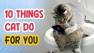 10 Things Your Cats Do for You Without You Knowing