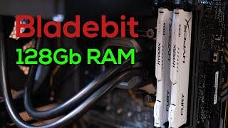 Делаем Bladebit плоты на 128 Gb RAM