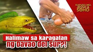 Halimaw sa karagatan ng Davao del Sur?  Kapuso Mo Jessica Soho