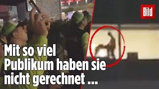 Pärchen hat Sex im Hotelzimmer – und auf der Straße schauen alle zu