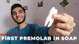 Sabundan Üst 1.Premolar Diş Yapımı  Maxıllary First PreMolar in Soap  Diş Anatomisi ve Fizyolojisi