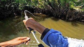 Mancing Di sungai dengan umpan udang hidup