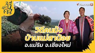 วิถีคนม้ง บ้านแม่สาน้อย อ.แม่ริม จ.เชียงใหม่  ซีรีส์วิถีคน CC